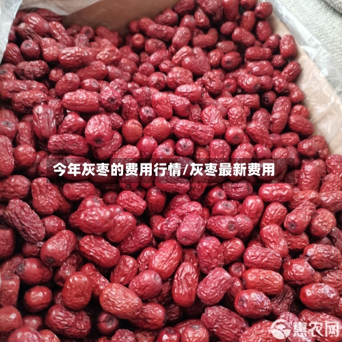 今年灰枣的费用行情/灰枣最新费用