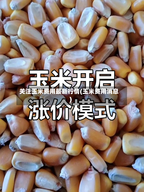 关注玉米费用最新行情(玉米费用消息)-第3张图片