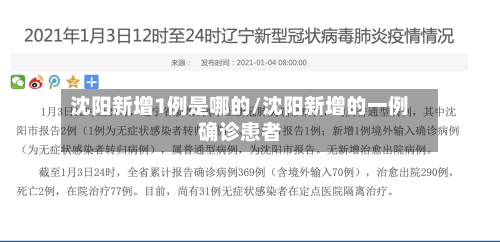 沈阳新增1例是哪的/沈阳新增的一例确诊患者