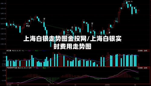 上海白银走势图金投网/上海白银实时费用走势图