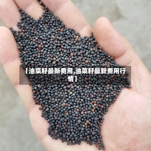 【油菜籽最新费用,油菜籽最新费用行情】-第3张图片