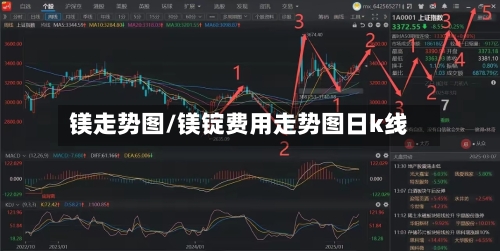 镁走势图/镁锭费用走势图日k线-第2张图片