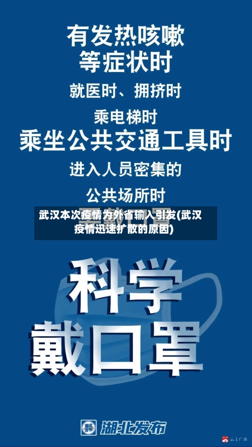 武汉本次疫情为外省输入引发(武汉疫情迅速扩散的原因)-第3张图片