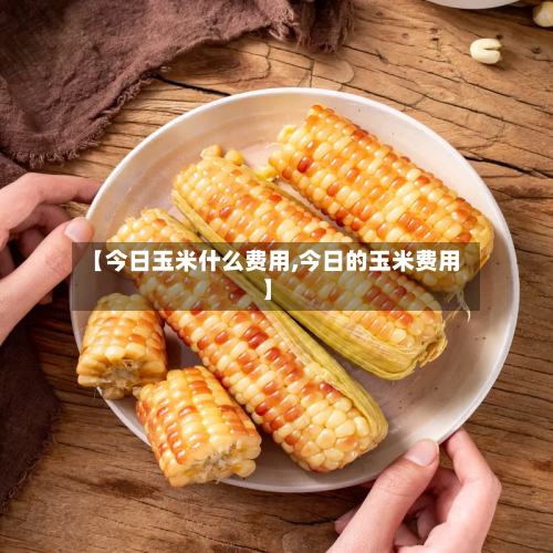 【今日玉米什么费用,今日的玉米费用】