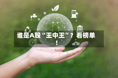 谁是A股“王中王”？看榜单！-第2张图片