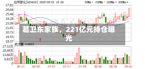 葛卫东家族，221亿元持仓曝光