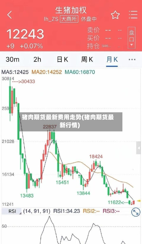 猪肉期货最新费用走势(猪肉期货最新行情)