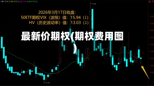 最新价期权(期权费用图)-第3张图片