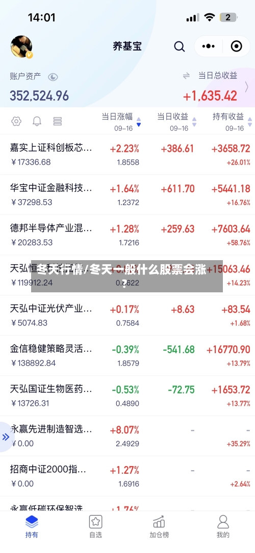 冬天行情/冬天一般什么股票会涨?-第3张图片