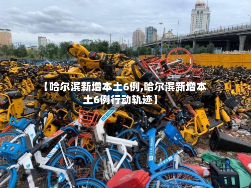 【哈尔滨新增本土6例,哈尔滨新增本土6例行动轨迹】-第2张图片