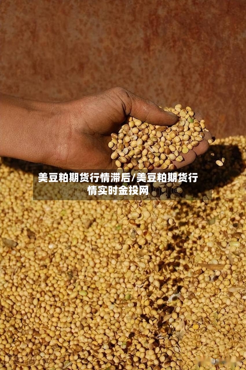 美豆粕期货行情滞后/美豆粕期货行情实时金投网-第2张图片