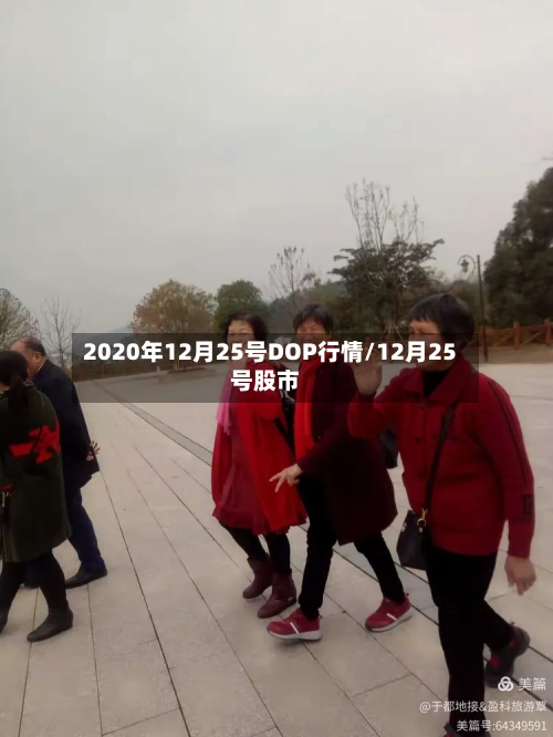 2020年12月25号DOP行情/12月25号股市