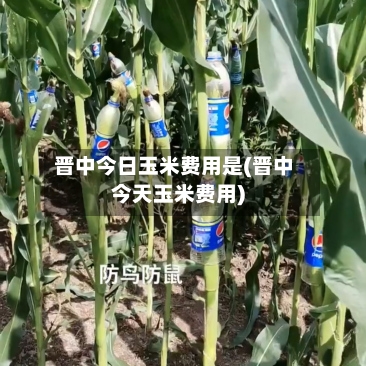 晋中今日玉米费用是(晋中今天玉米费用)-第2张图片