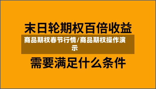 商品期权春节行情/商品期权操作演示