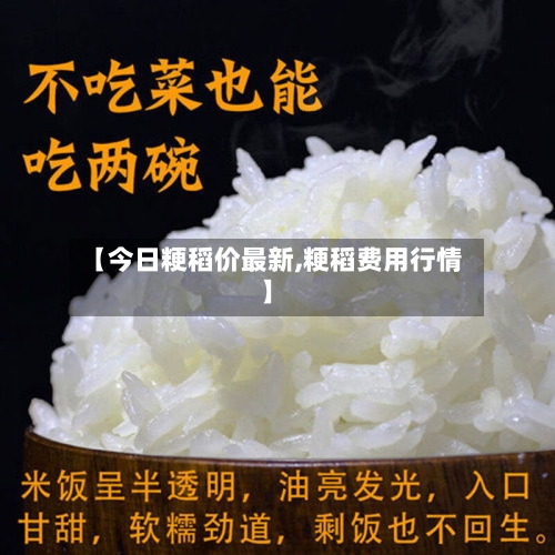 【今日粳稻价最新,粳稻费用行情】
