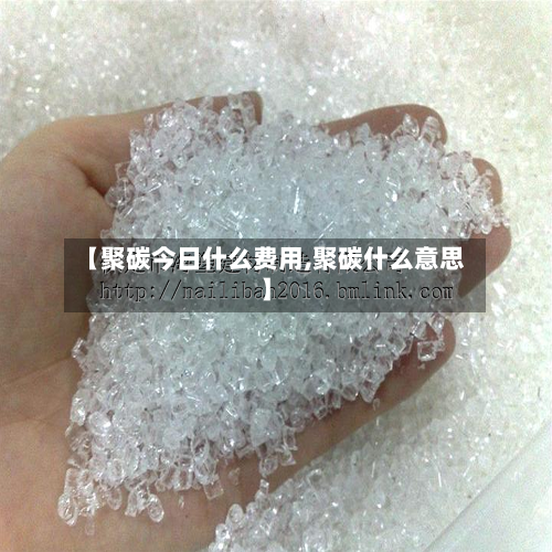 【聚碳今日什么费用,聚碳什么意思】