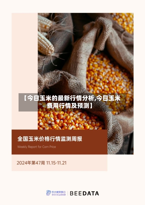 【今日玉米的最新行情分析,今日玉米费用行情及预测】-第2张图片