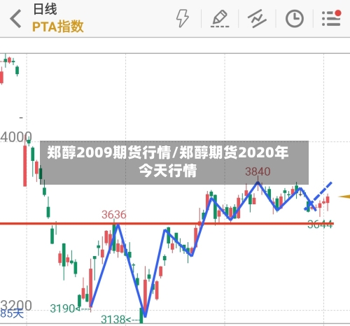 郑醇2009期货行情/郑醇期货2020年今天行情-第2张图片