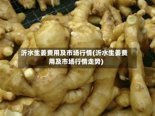 沂水生姜费用及市场行情(沂水生姜费用及市场行情走势)-第2张图片