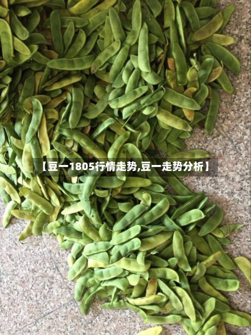 【豆一1805行情走势,豆一走势分析】