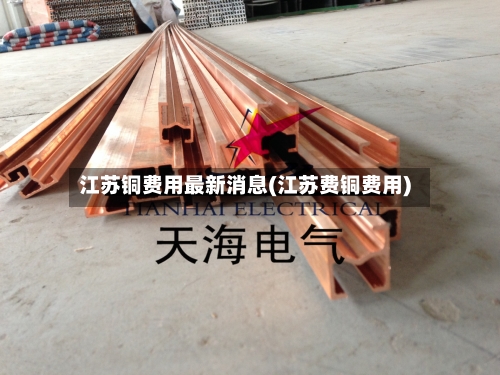 江苏铜费用最新消息(江苏费铜费用)