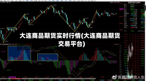 大连商品期货实时行情(大连商品期货交易平台)