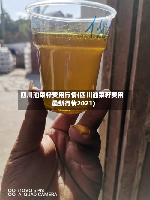 四川油菜籽费用行情(四川油菜籽费用最新行情2021)