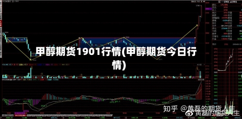 甲醇期货1901行情(甲醇期货今日行情)
