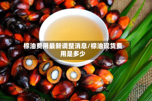 棕油费用最新调整消息/棕油现货费用是多少