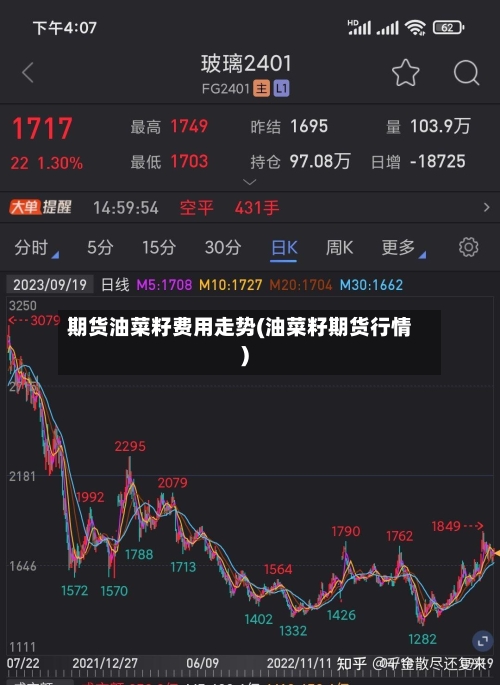 期货油菜籽费用走势(油菜籽期货行情)-第2张图片