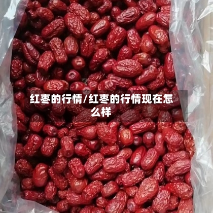 红枣的行情/红枣的行情现在怎么样-第2张图片