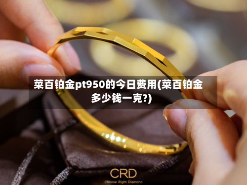 菜百铂金pt950的今日费用(菜百铂金多少钱一克?)
