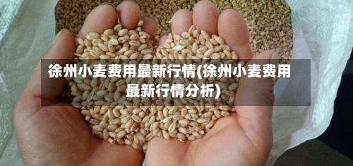 徐州小麦费用最新行情(徐州小麦费用最新行情分析)-第2张图片