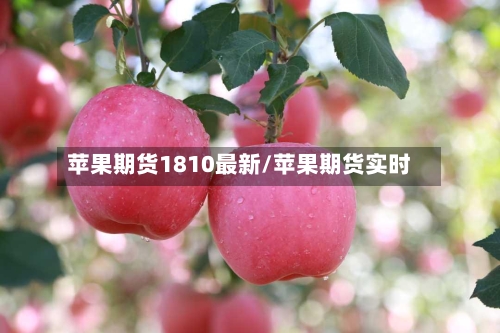 苹果期货1810最新/苹果期货实时-第3张图片