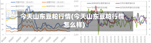 今天山东豆粕行情(今天山东豆粕行情怎么样)-第3张图片