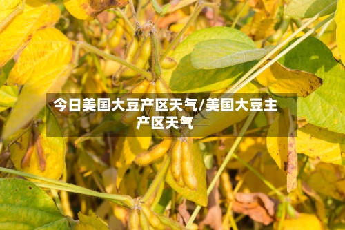 今日美国大豆产区天气/美国大豆主产区天气