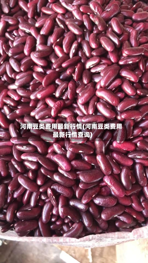 河南豆类费用最新行情(河南豆类费用最新行情查询)-第2张图片