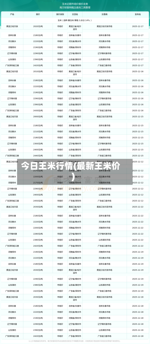 今日王米行情(最新王米价)