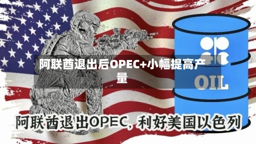 阿联酋退出后OPEC+小幅提高产量