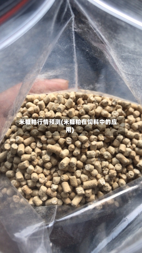 米糠粕行情预测(米糠粕在饲料中的应用)