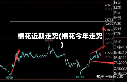 棉花近期走势(棉花今年走势)