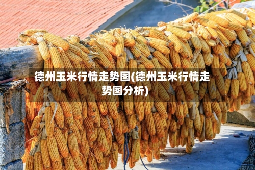 德州玉米行情走势图(德州玉米行情走势图分析)-第2张图片
