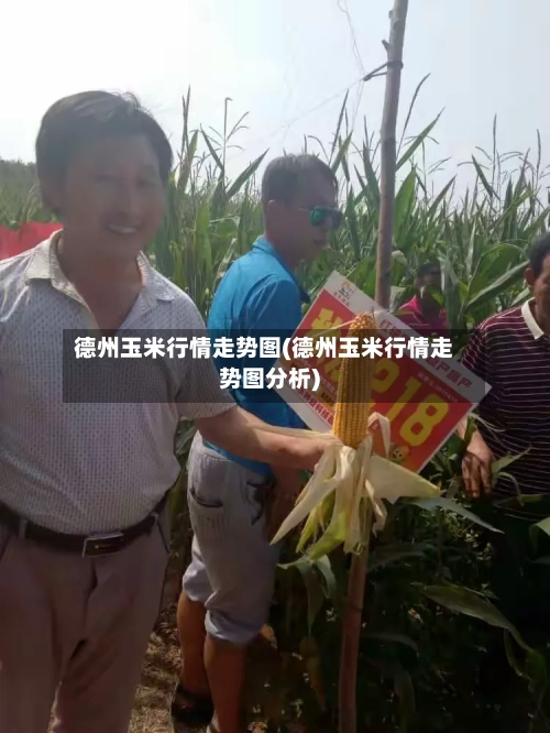 德州玉米行情走势图(德州玉米行情走势图分析)-第3张图片