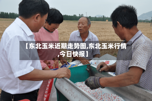 【东北玉米近期走势图,东北玉米行情,今日快报】