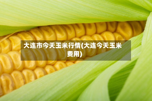 大连市今天玉米行情(大连今天玉米费用)