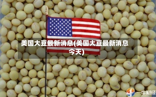 美国大豆最新消息(美国大豆最新消息今天)
