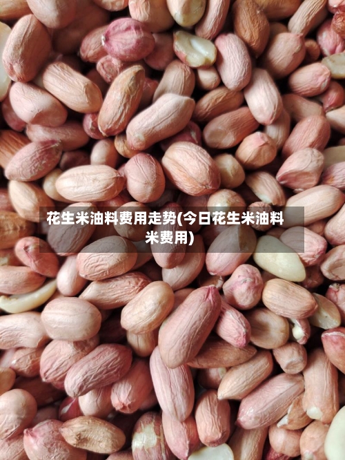花生米油料费用走势(今日花生米油料米费用)-第2张图片