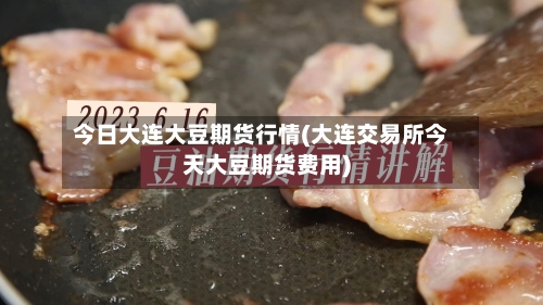 今日大连大豆期货行情(大连交易所今天大豆期货费用)-第2张图片