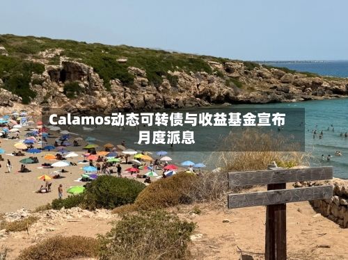 Calamos动态可转债与收益基金宣布月度派息-第3张图片