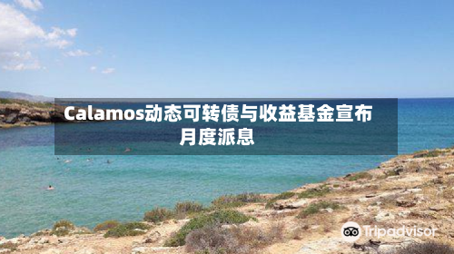 Calamos动态可转债与收益基金宣布月度派息